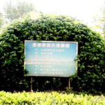 工(gōng)廠(chǎng)環境
